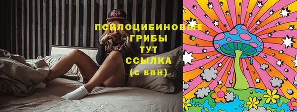 стаф Горно-Алтайск