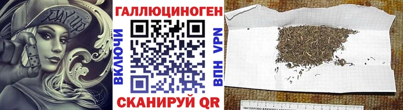 купить   Макаров  Галлюциногенные грибы Psilocybine cubensis 