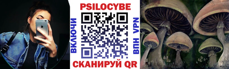 Псилоцибиновые грибы Cubensis Макаров